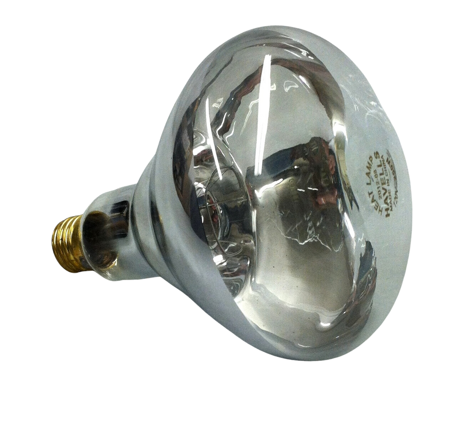 125W Heat Lamp Bulb Midwest Livestock Midwest Livestock Systems